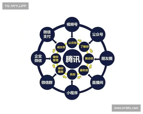 由于订阅流量与社交闭环贯通 体育内容分发体系在本阶段实现了ROI水平的历史性突破